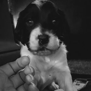 Meet your Posher, Kattie